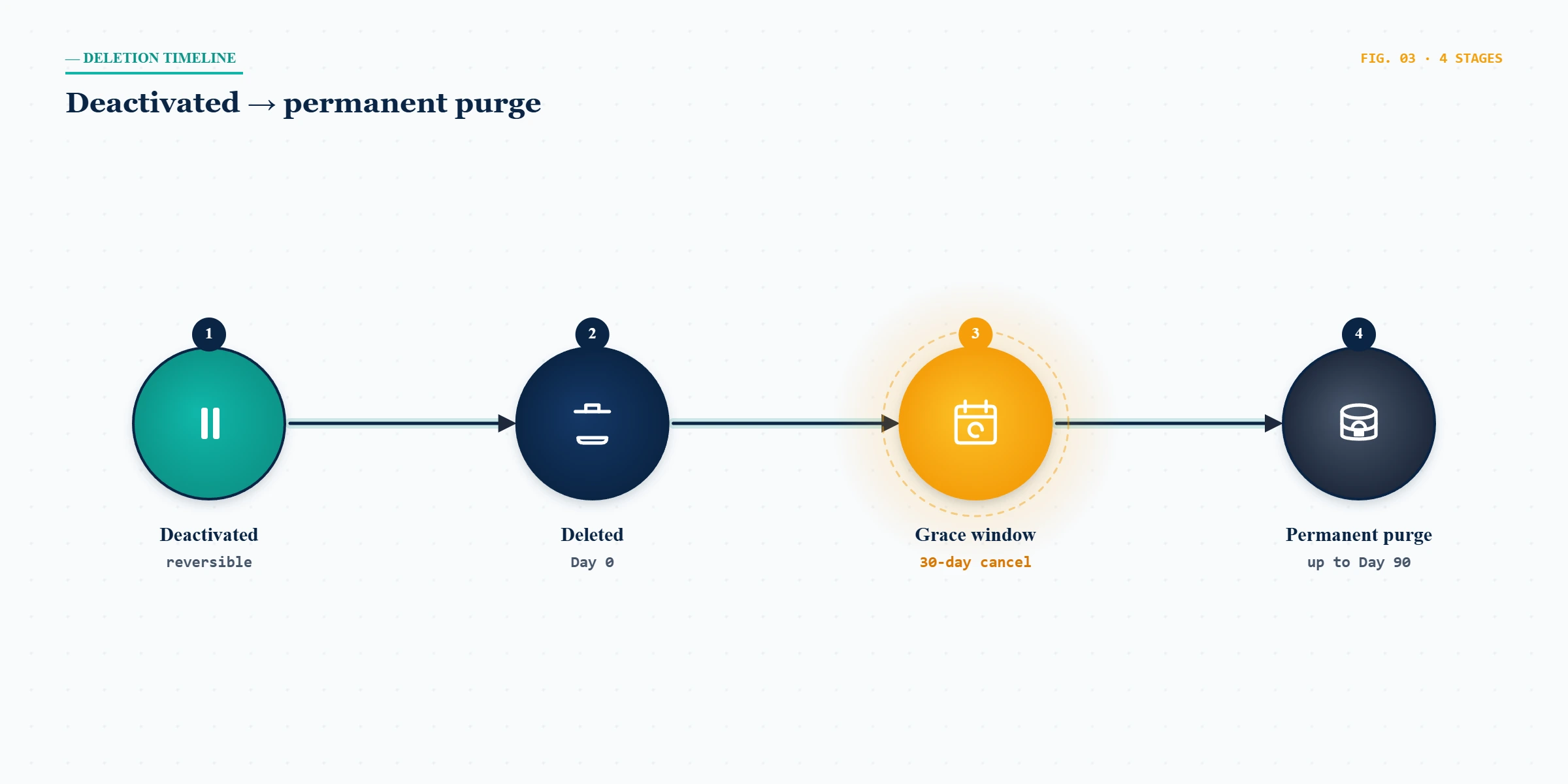 Timeline diagram showing Facebook account recovery after 30 days, from deactivation through the deletion grace period to permanent purge.