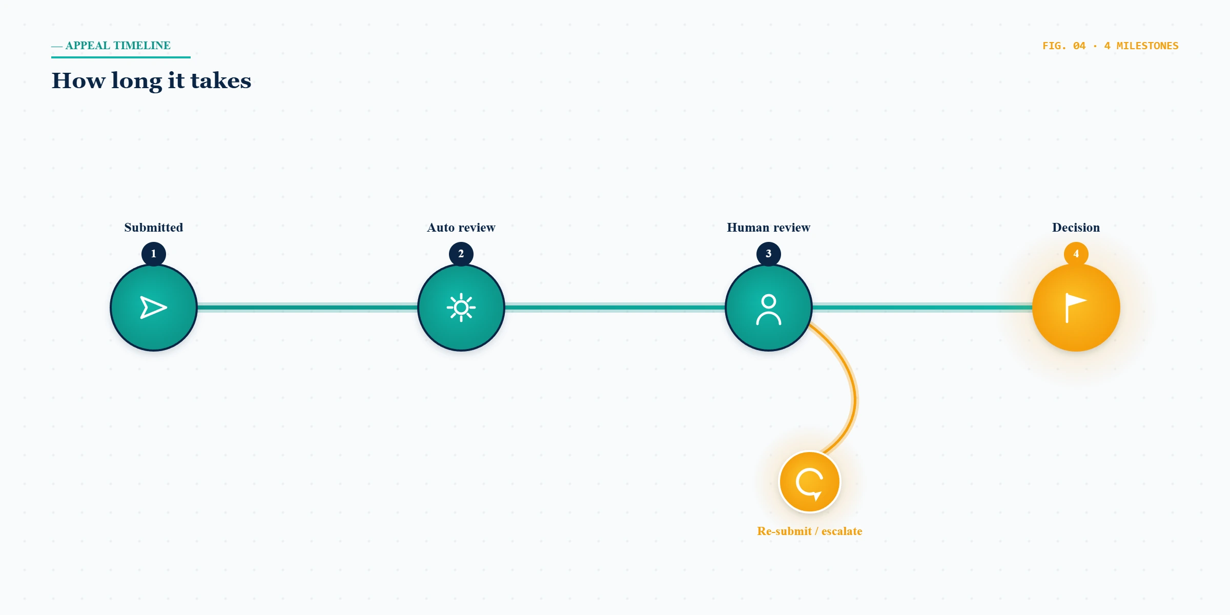 A timeline showing how long Twitter appeals take and what to do when a Twitter appeal is not working.