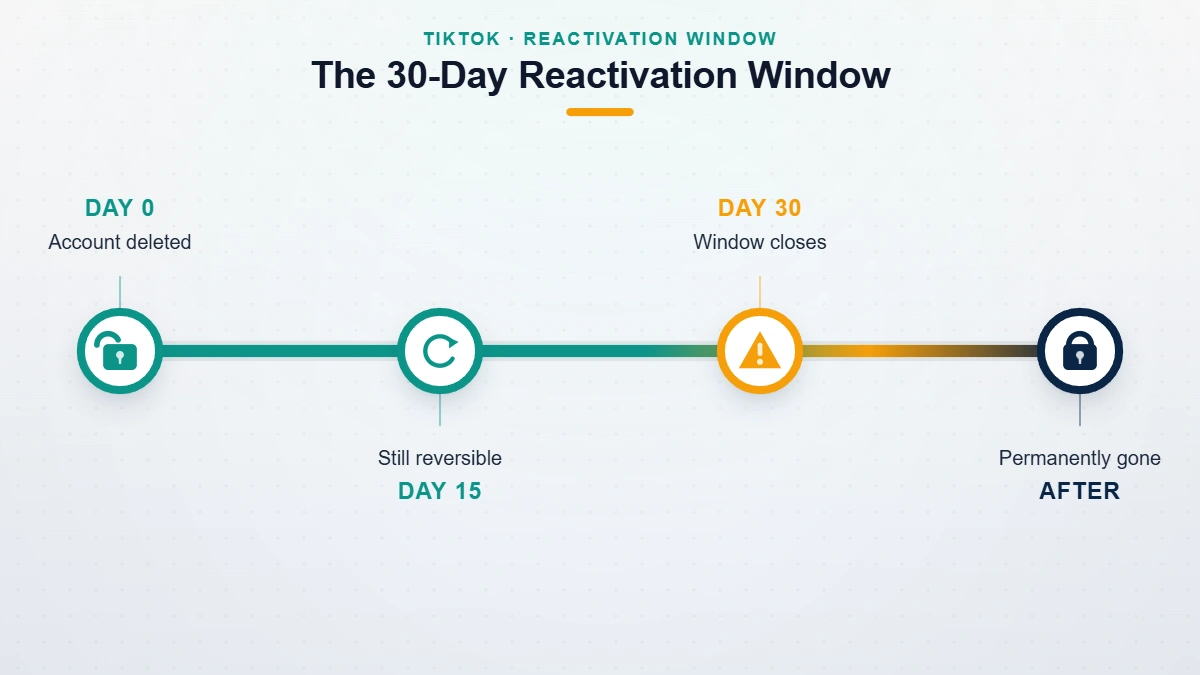 A clear timeline of the 30-day reactivation window for recovering a deleted TikTok account before permanent removal.