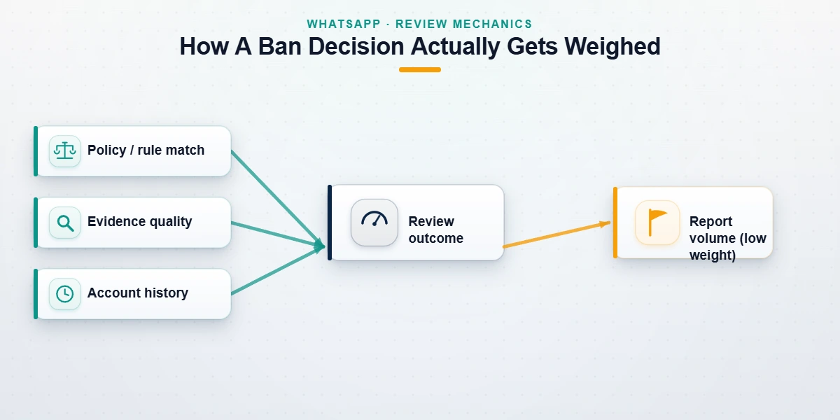 Diagram showing how WhatsApp weighs violation type, evidence, and account history over whatsapp mass report volume.